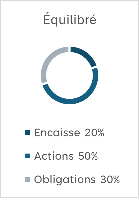 Graphique de portefeuille équilibré composé de 20 % en encaisse, 50 % en actions et 30 % en obligations.